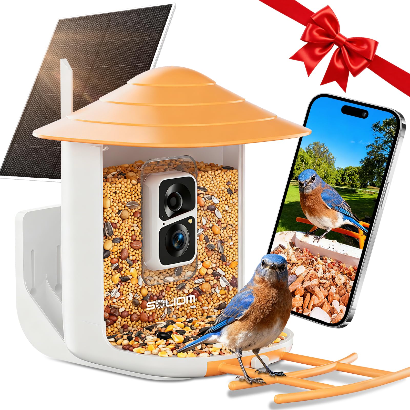 SOLIOM BF09 Bird Feeder with Camera