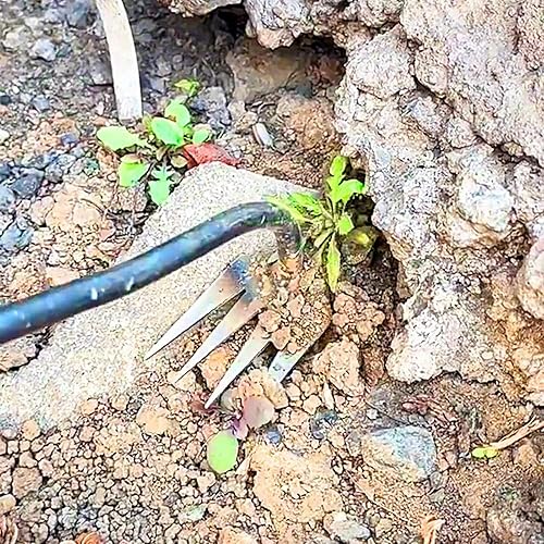 Miniatura 8 de Gonipol Weed Puller Tool  Stainless Steel Grass Remover Tool  High Strength Weed Pulling Tool  Weed Root Remover Gardening Hand Tools  Hand Weeder