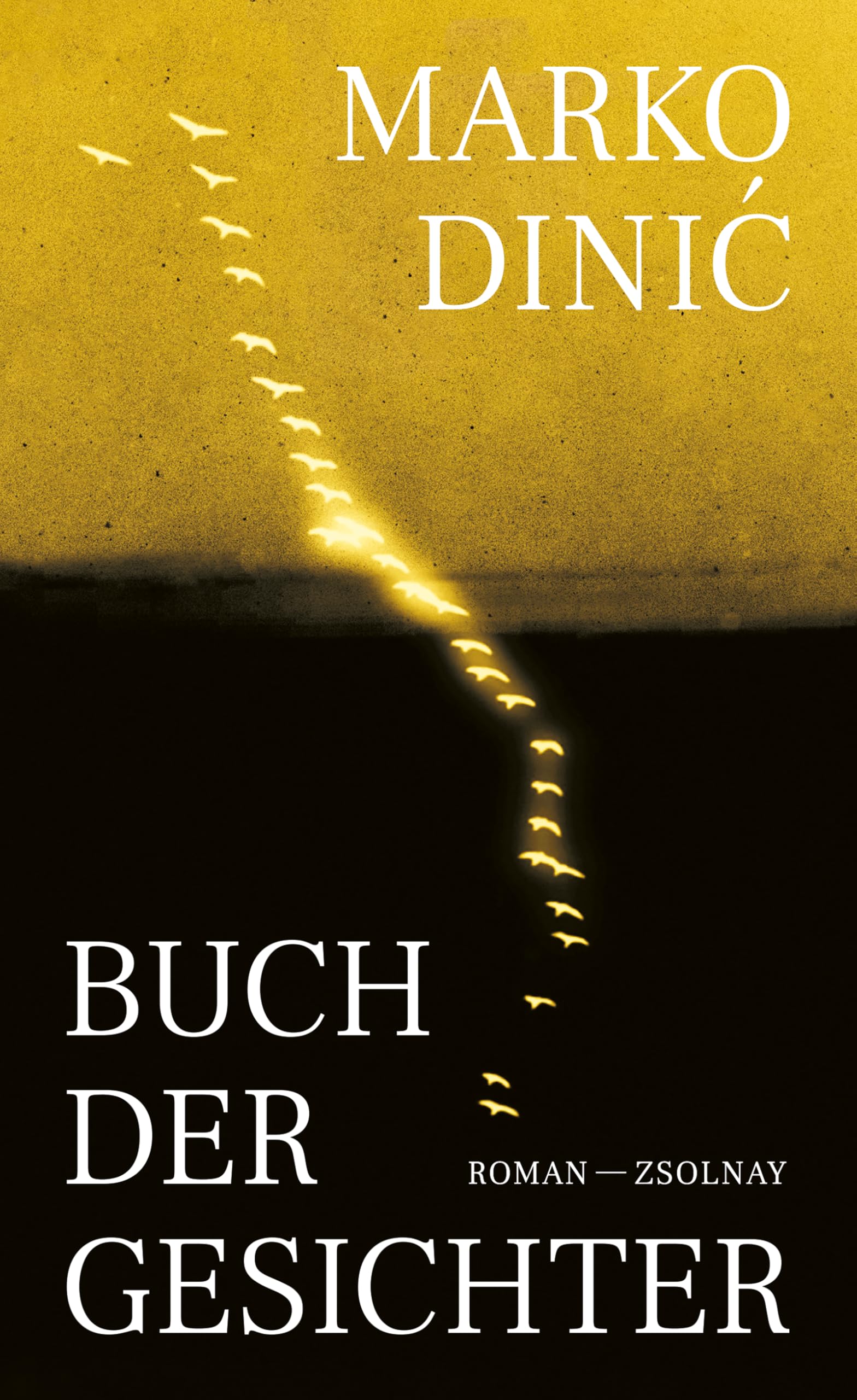 Buch der Gesichter: Roman
