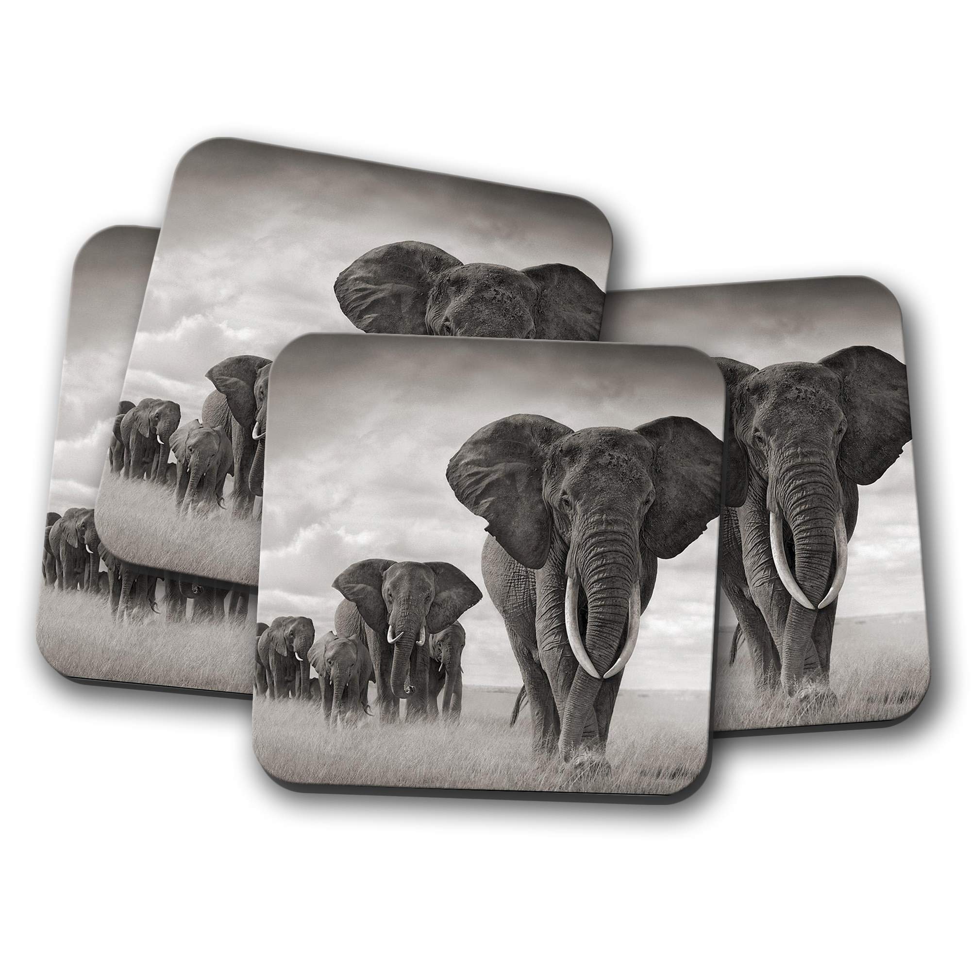 4 Set - Elephant Herd Coaster - Safari Africa Zoo Animal Nature Fun #8955