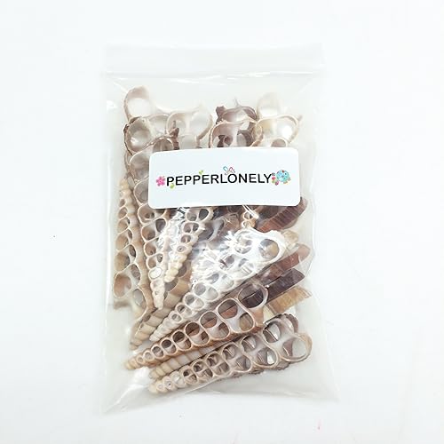 Miniatura 10 de PEPPERLONELY 20 piezas de estrombo de corte central Canarium Sea Shells, 2 pulgadas  2-12 pulgadas