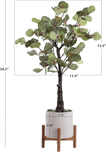 Miniatura 5 de SAFAVIEH Home Collection - Árbol decorativo artificial de eucalipto en maceta de 34 pulgadas (totalmente montado)