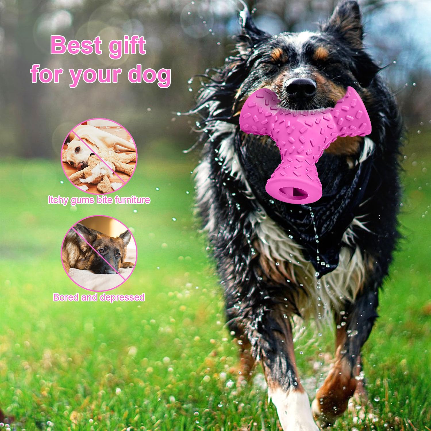 Autoau Giochi per Cani Indistruttibile Giochi Cane de Masticare per Pulizia Denti Giochi Interattivi Cani in Gomma Naturale, Pet Food Palla per Cane Aggressivi di Media e Grande Taglia