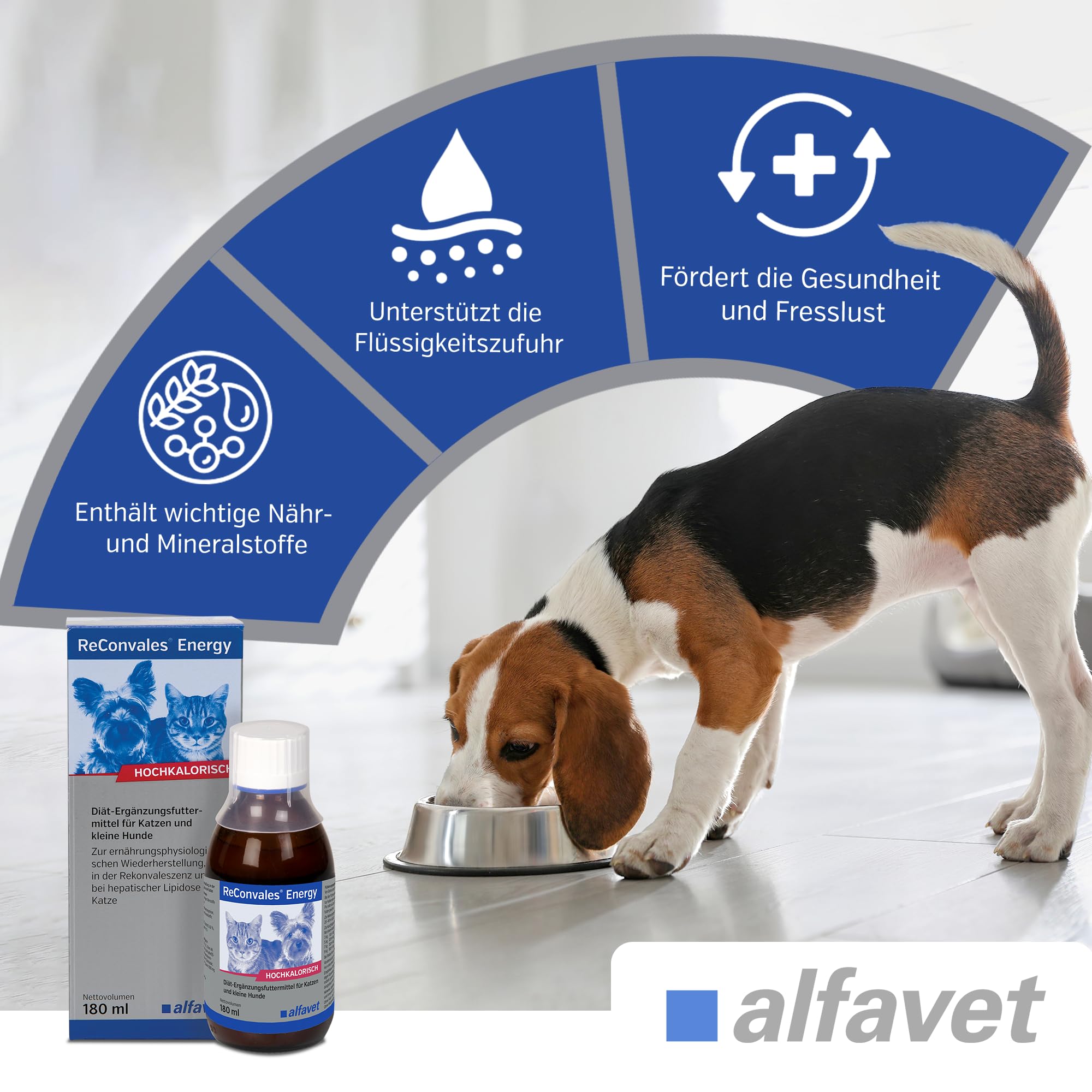 alfavet ReConvales Energy 180 ml