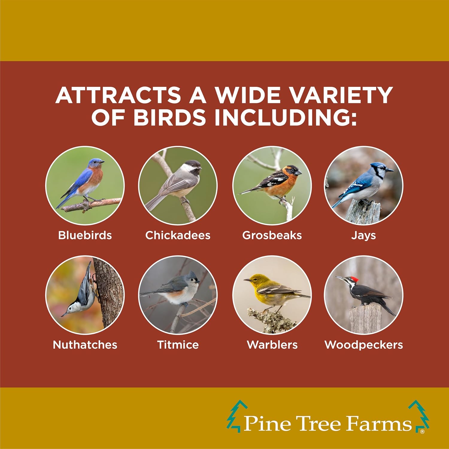 Pine Tree Farms Peanut Butter Suet Cake for Wild Birds 12 oz. (Pack of 12)