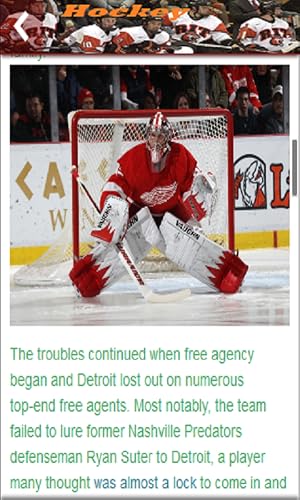 Hockey - Thumbnail 6