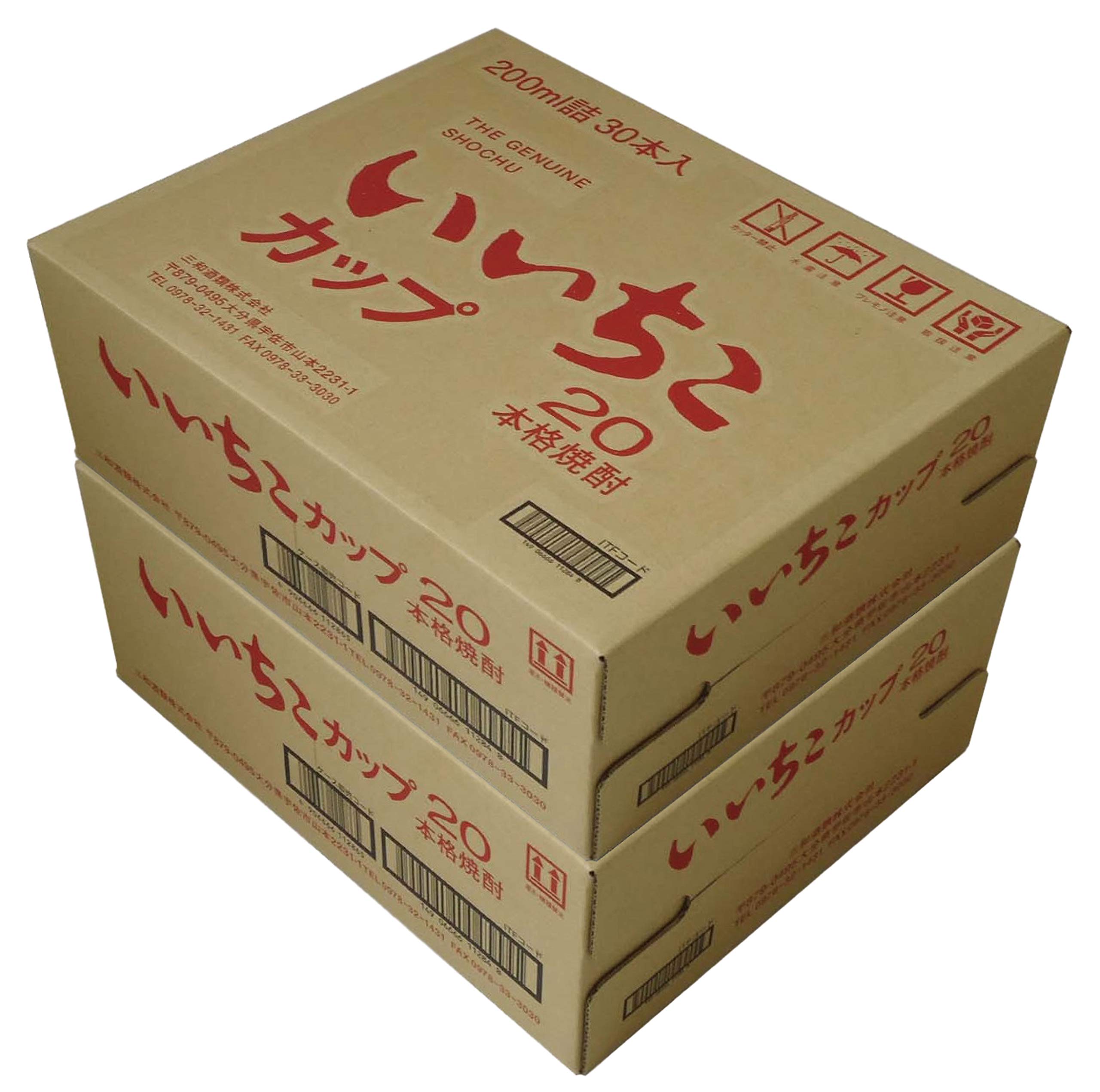 いいちこ　2ケース　12本セット 本格焼酎いいちこ 限定ギフトセット FSp スペシャル 各720ml 2本入り