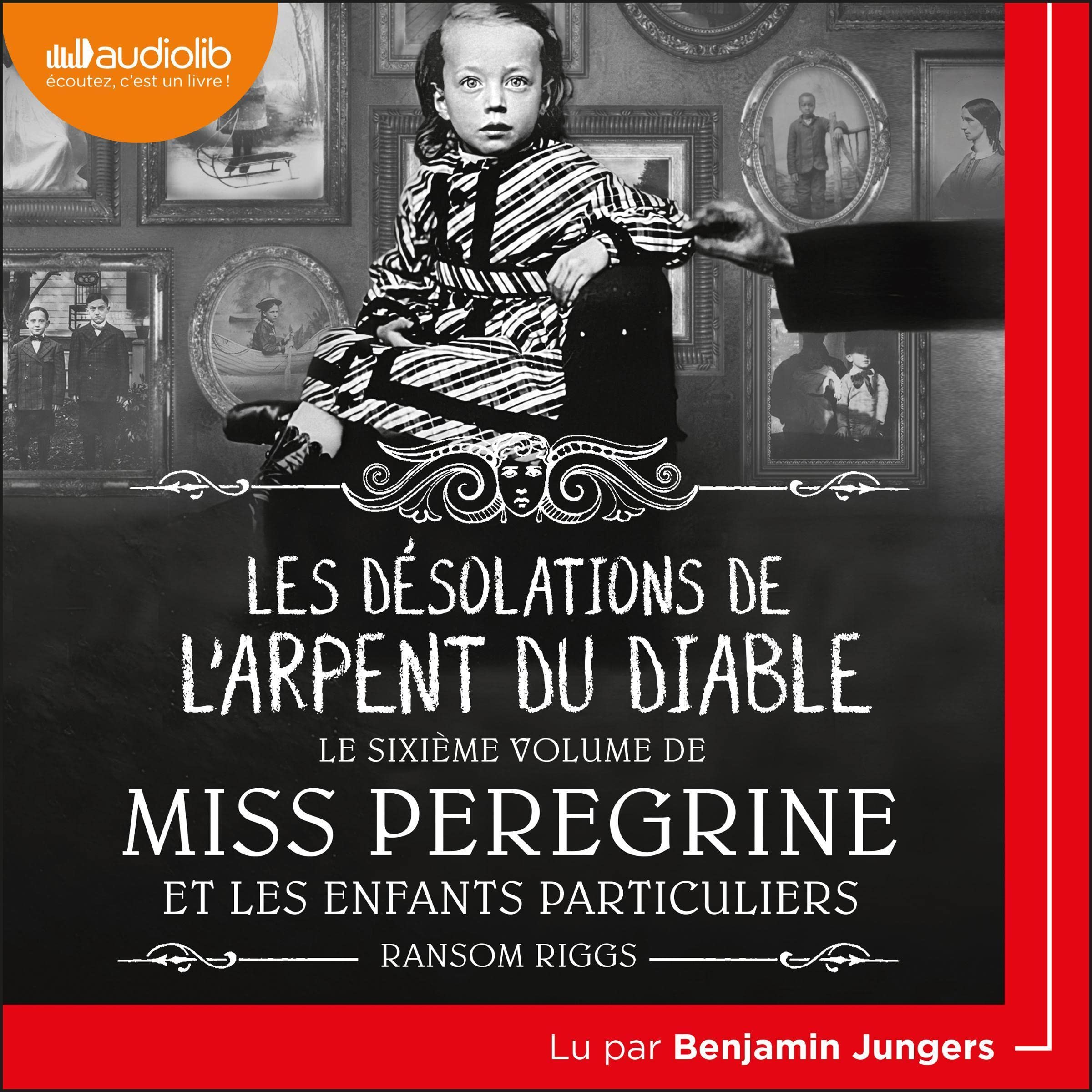 Cover art for Les désolations de l'Arpent du diable
