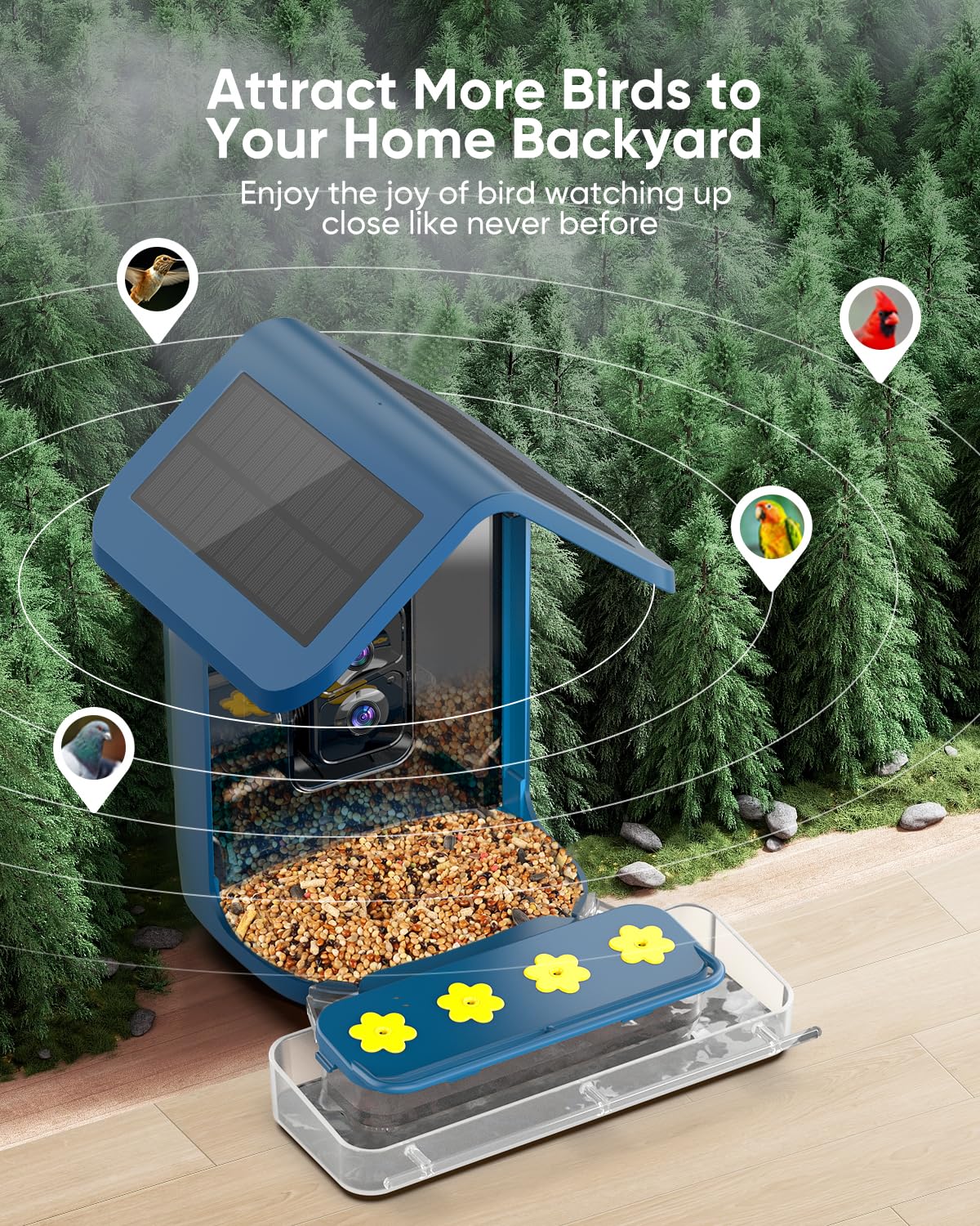 Comedero para pájaros con cámara, cámara alimentadora de colibríes alimentada por energía solar, 1080P para observación de aves con reconocimiento AI, cámara inteligente para amantes de las aves