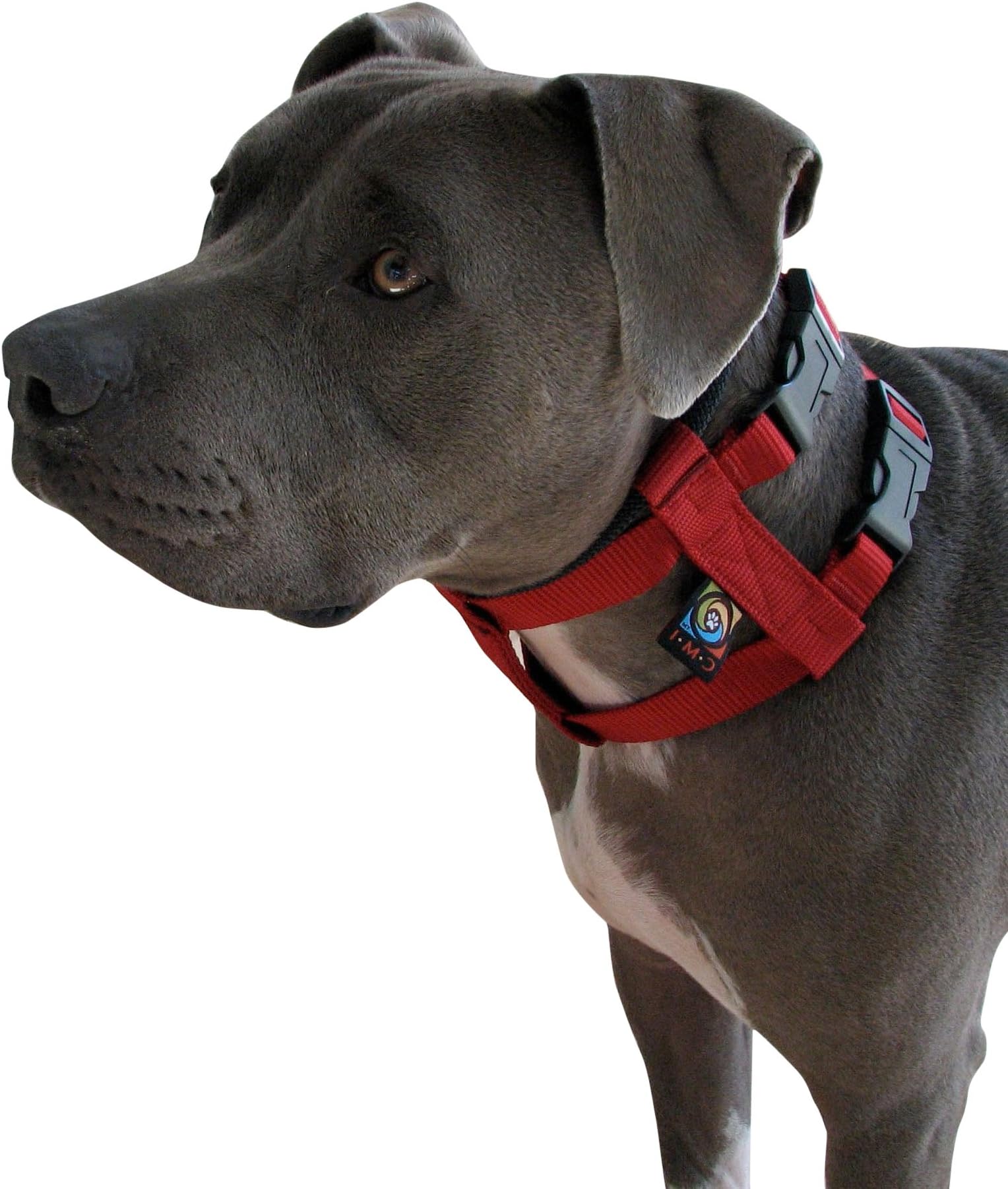 Cesar Millan Original American Illusion Collar Training Collar & Lead