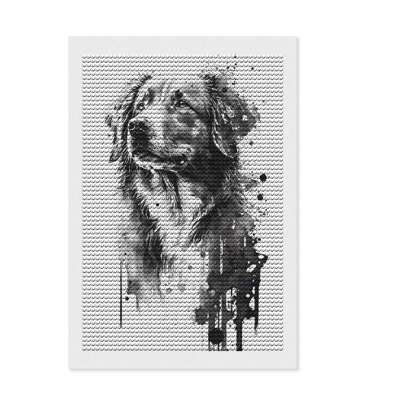 Junmoney Duck Tolling Retriever Ink Diamond Painting Canvas Set 8"x12", Calming Craft to Unwind, with Tool Kit, Office Decor, Christmas Gift
