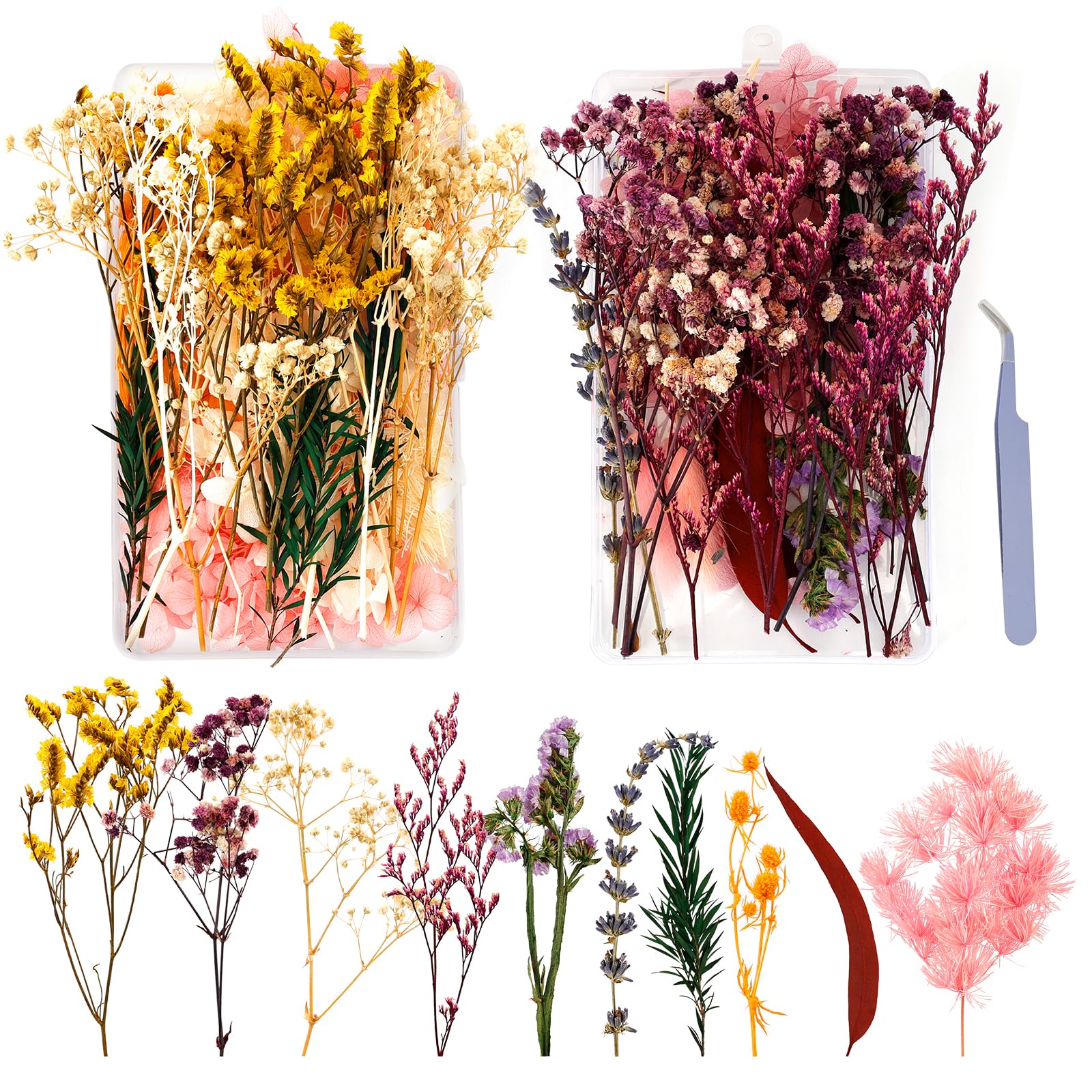 EKOCEV Trockenblumen 2 Boxen Natürliche Getrocknete Blumen, Klein Trockenblumen zum Basteln für Blumen Deko Dekoration DIY Karten Harz und