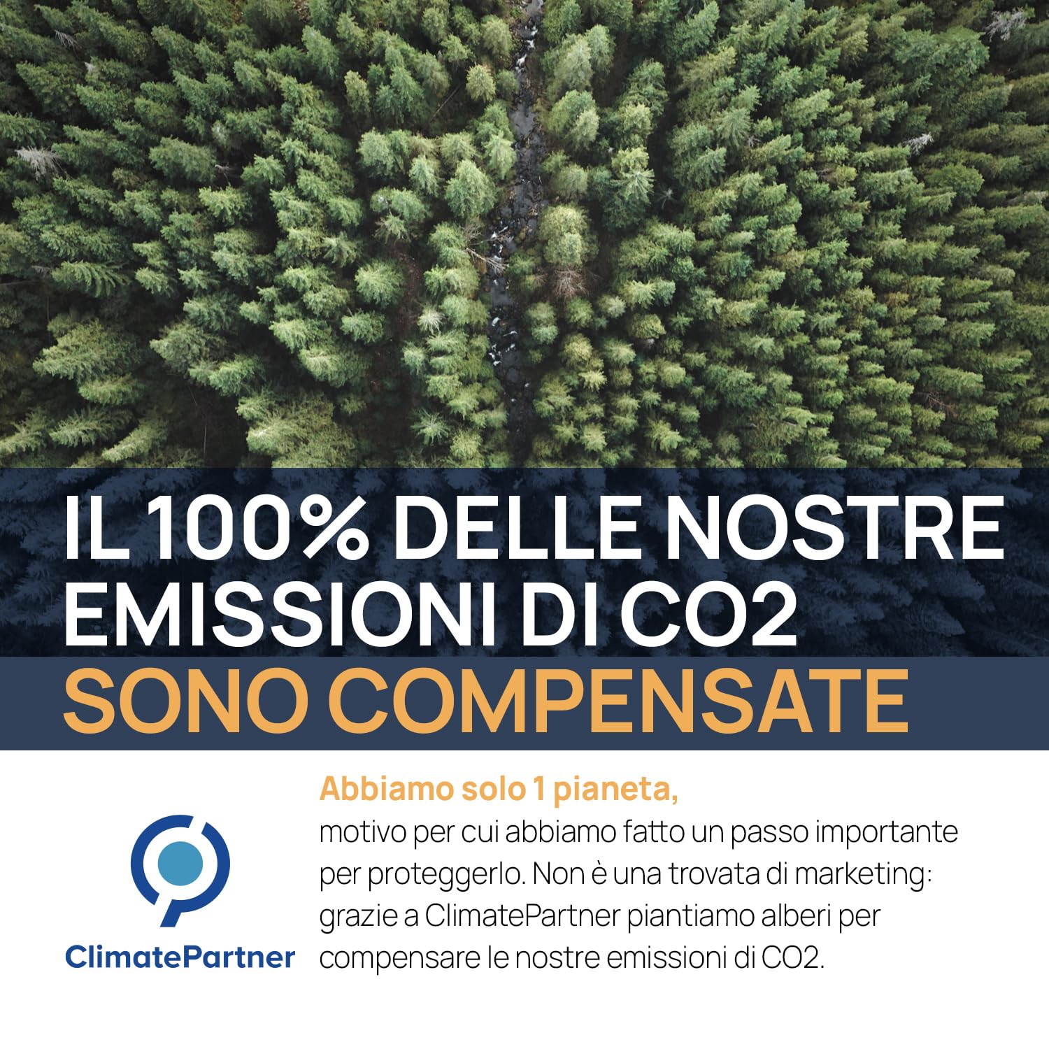 Argento Colloidale Puro 500ml 20 PPM | Per la famiglia & gli Animali (Cani, Gatti) | 100% Naturale : Certificato Cosmos Natural | Carbon Neutral