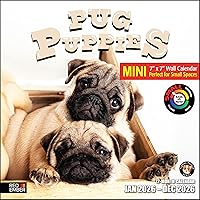 Vista 10 de RED EMBER Calendario de pared 2025 con diseño de cachorros de 12 meses, 12 x 24 pulgadas, abierto, papel grueso y resistente, para regalo