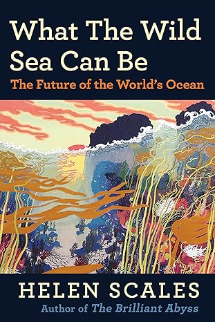 What the Wild Sea Can Be: The Future of the World’s Ocean-Wow! eBook