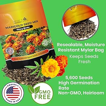 marigoldsさん専用２　1000 Amazon.com : NatureZ Edge Marigold Seeds Mix, Over 5600