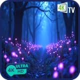 Audio sutil de la naturaleza Bosque encantado nocturno: bosque de hongos de fantasía para noches con poca luz