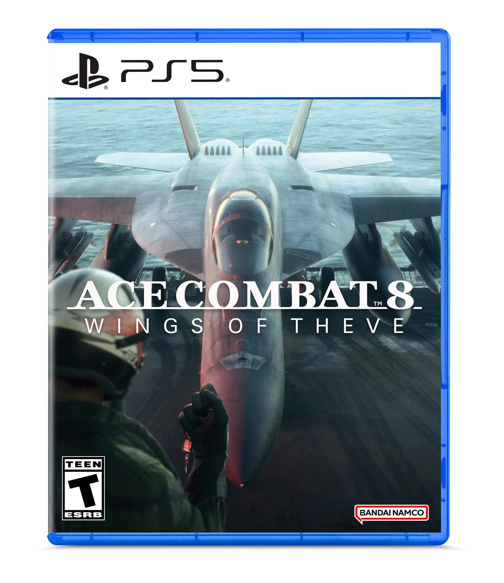 Amazon.com: ACE COMBAT 8: WINGS OF THEVE - PlayStation 5 : Video Games