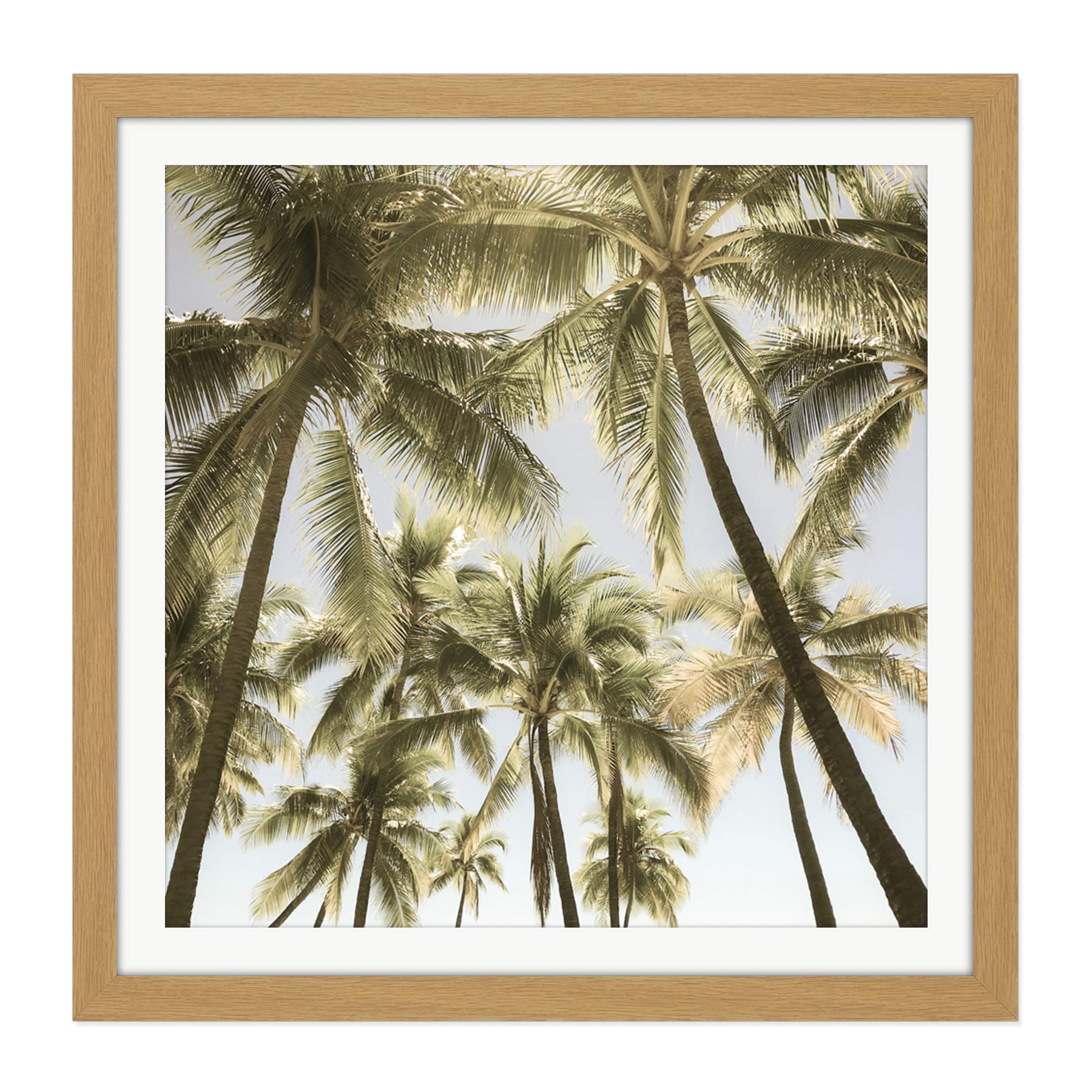 Artery8 Perrington Tropical Palm Trees Photo Square Wooden Framed Wall Art Print Picture 16X16 Inch