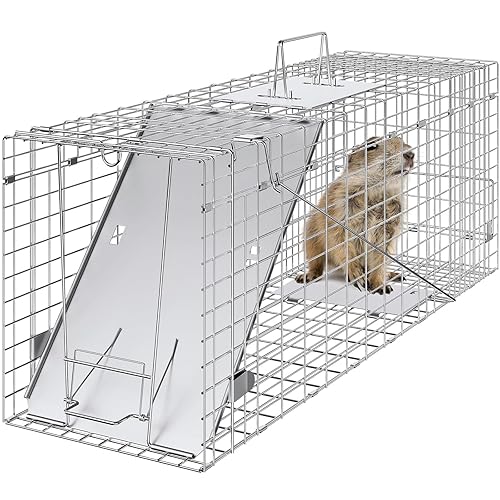 VEVOR Trampa de jaula para animales vivos, 31 x 10 x 12 pulgadas, trampa para gatos humanitarios de hierro galvanizado, trampa plegable para
