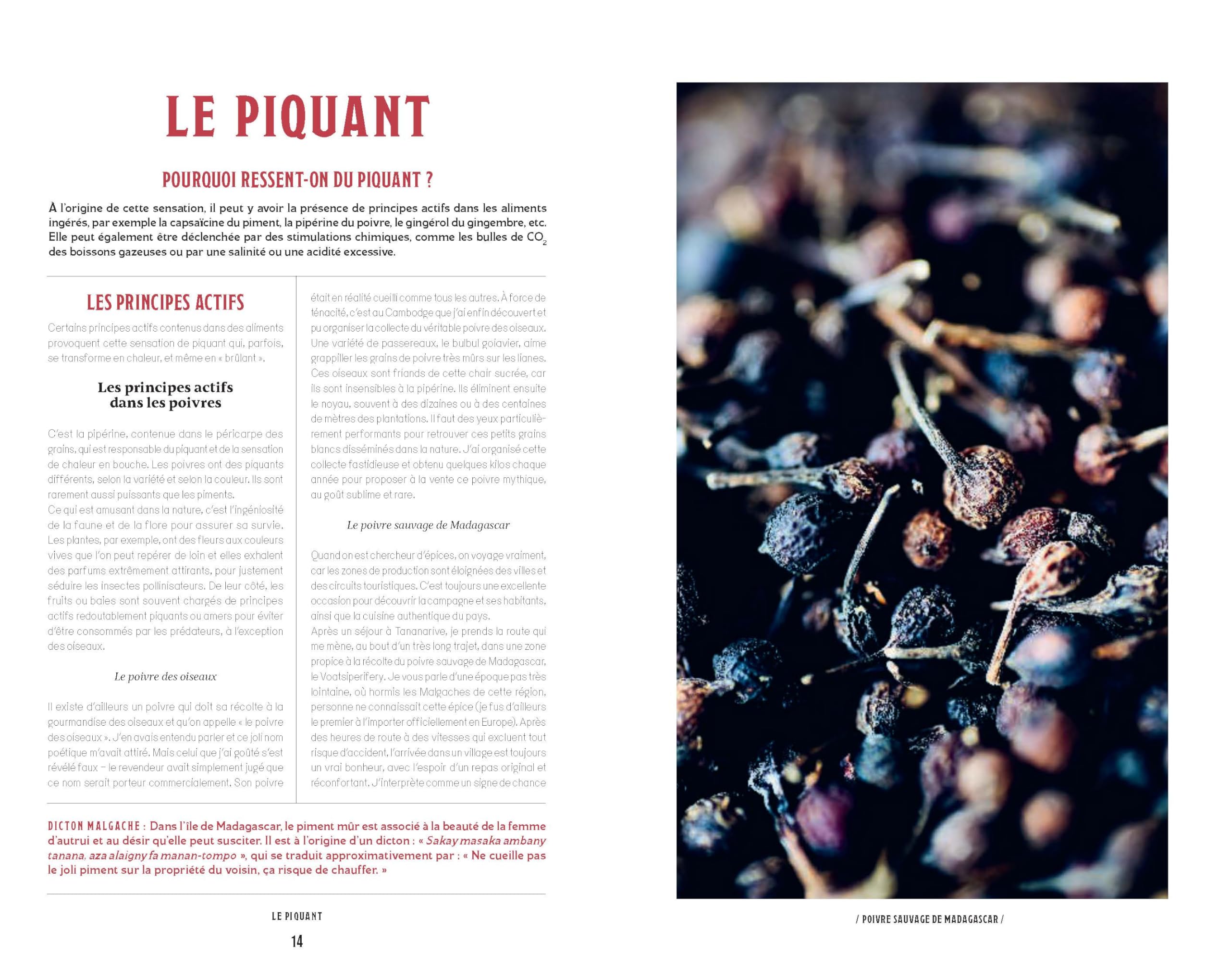 Piquant brûlant: Une exploration du goût pour émoustiller sa cuisine