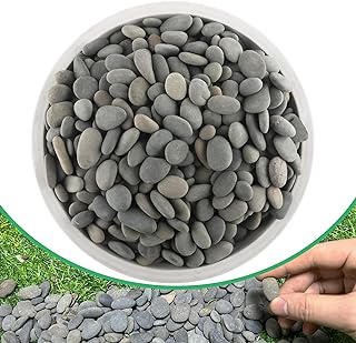 2.4LB River Rocks Mexican Beach Pebbles for Garden Landscape Stone Pavin...