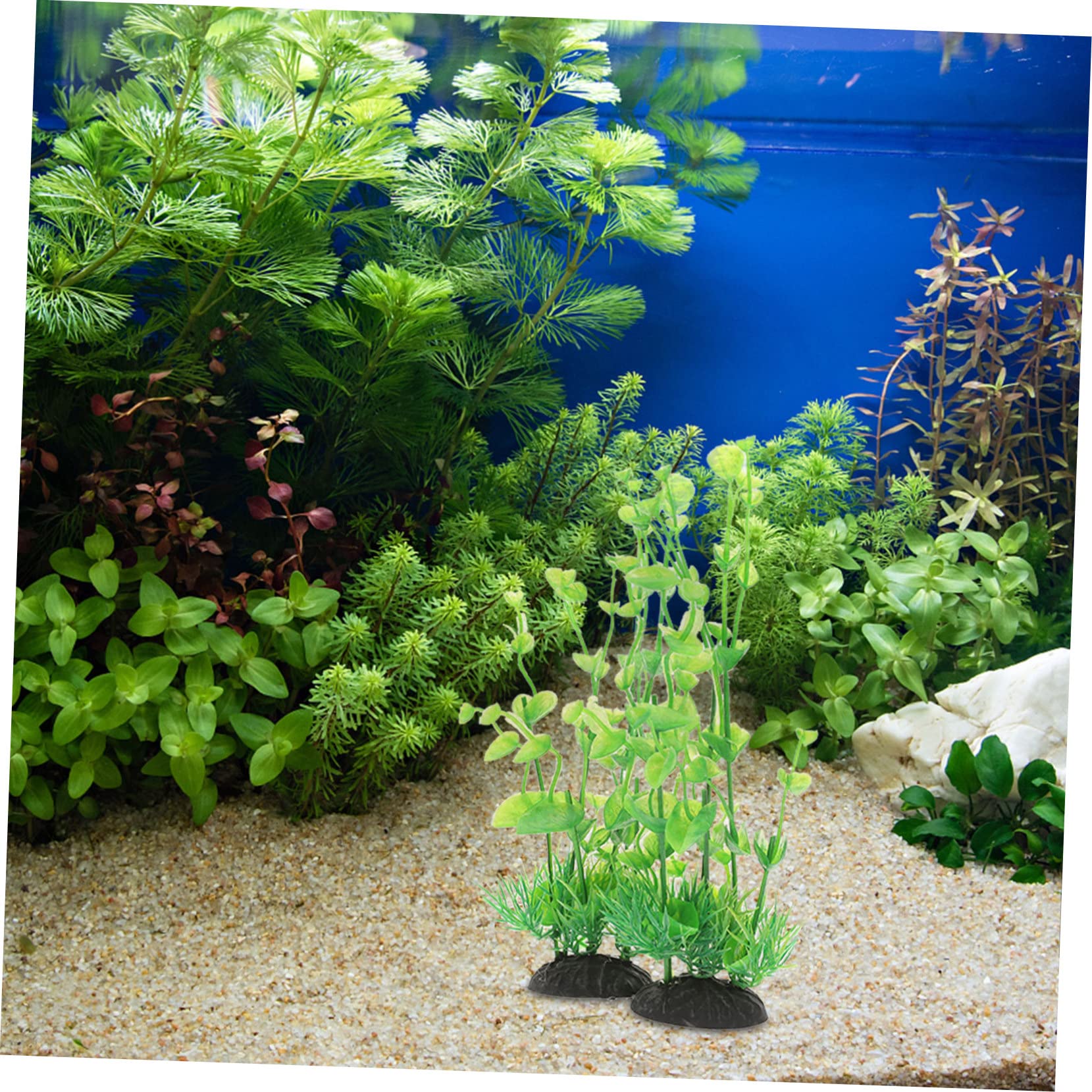 Sosoport 5 Sätze Aquarienlandschaft Aquariengras Wasser- Aquarium Pflanzen Panzer Teich Bausatz Aquariumdekorationen Klein Kleine Pflanzen Aquarienpflanze Betta-Blatt Plastik 2 Stück * 5
