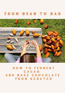 FROM BEAN TO BAR: How to Ferment Cacao and Make Chocolate from Scratch