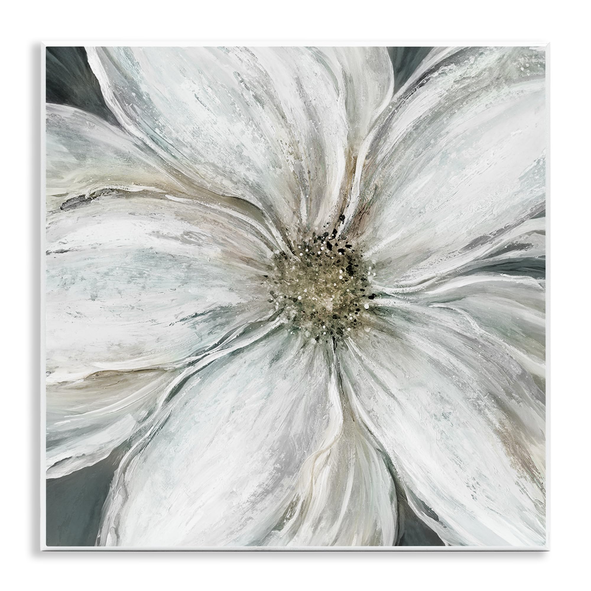 Stupell Industries 'Closeup Serene White Blossom', Wall Plaque Art, 12 x 12 Inches, Easy to Hang and Sturdy, Made in USA, by Carol Robinson
