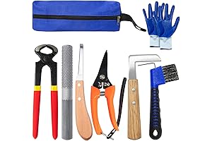 Professional 8-Piece Farrier Tool Kit for Animal Hoof Care