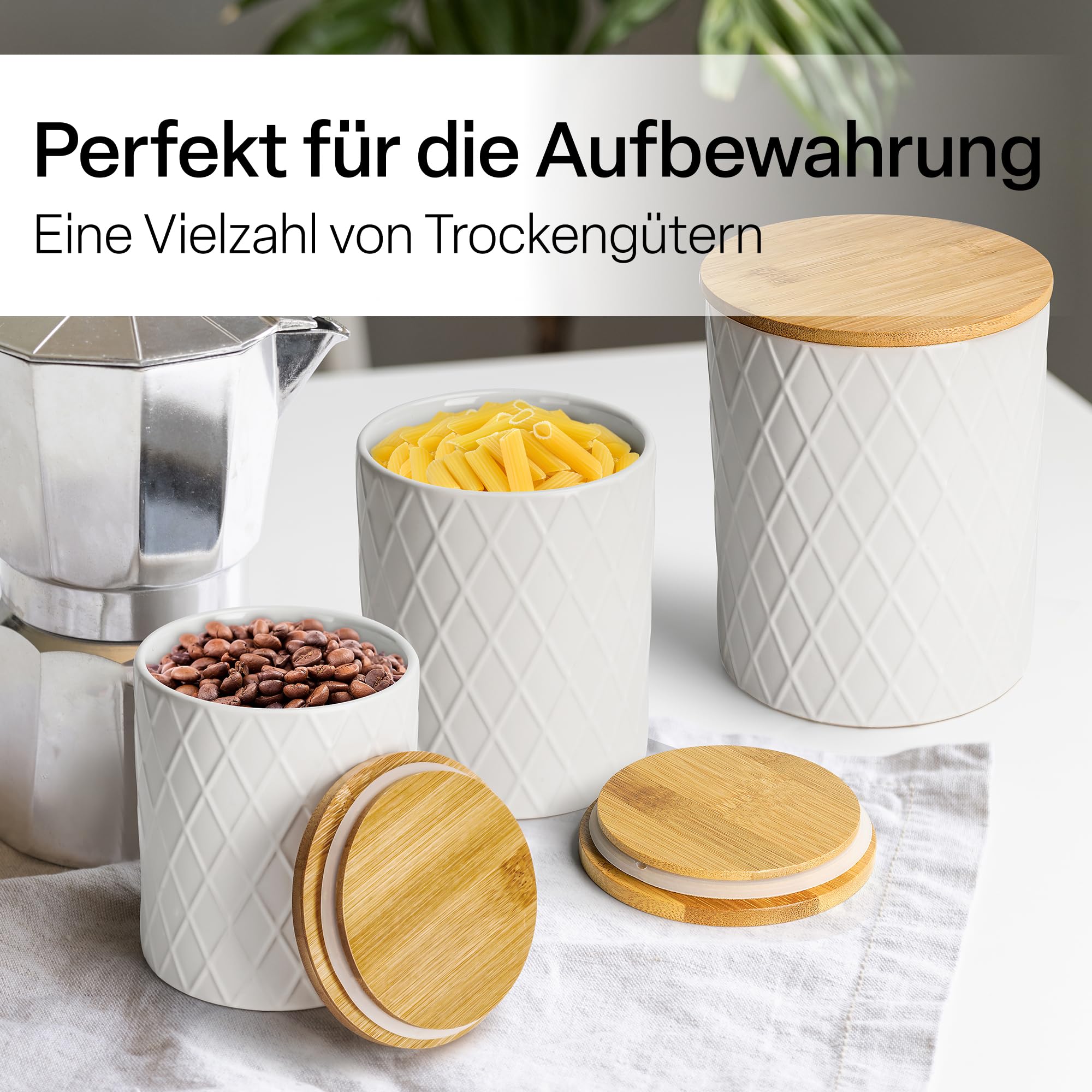 MIAMIO - Vorratsdosen Set 6 / Keramikdosen für Küche - Palmanova (Weiß) | Keramik-Vorratsdosen mit luftdichten Holzdeckeln für Kaffee, Tee, Zucker, Mehl und Salz zur Küchenaufbewahrung zu Hause