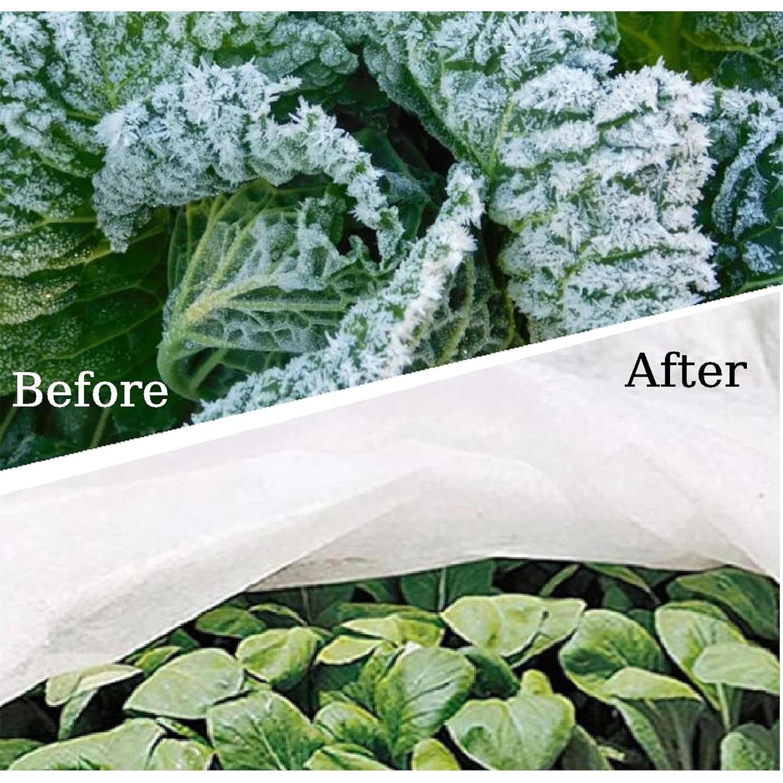 Voile Hivernage Plante Exterieur,3x5m Épaissi D'hivernage,Toile Hivernage Plante Protection Contre Le Gel,Respirant et Chaud,Il Résiste au Gel et à la Glace,Favorisant Ainsi Croissance des Plantes