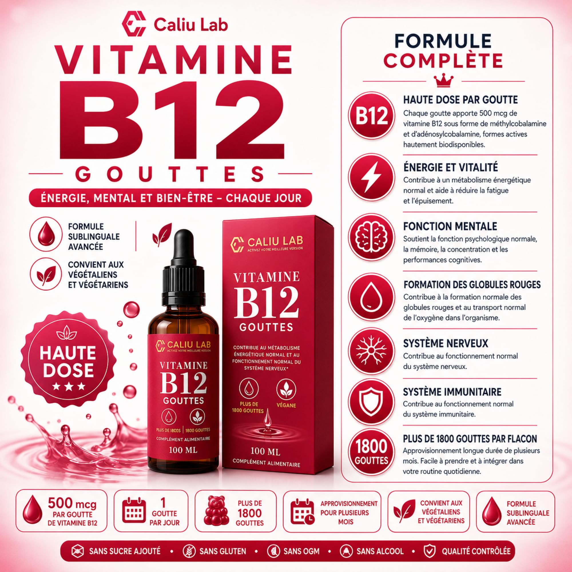 Vitamine B12 Méthylcobalamine Sublinguale | 100 ml Gouttes Liquides | Haute Concentration en Vitamine B12 Active | Complément Alimentaire pour l'Énergie, le Système Nerveux et le Métabolisme