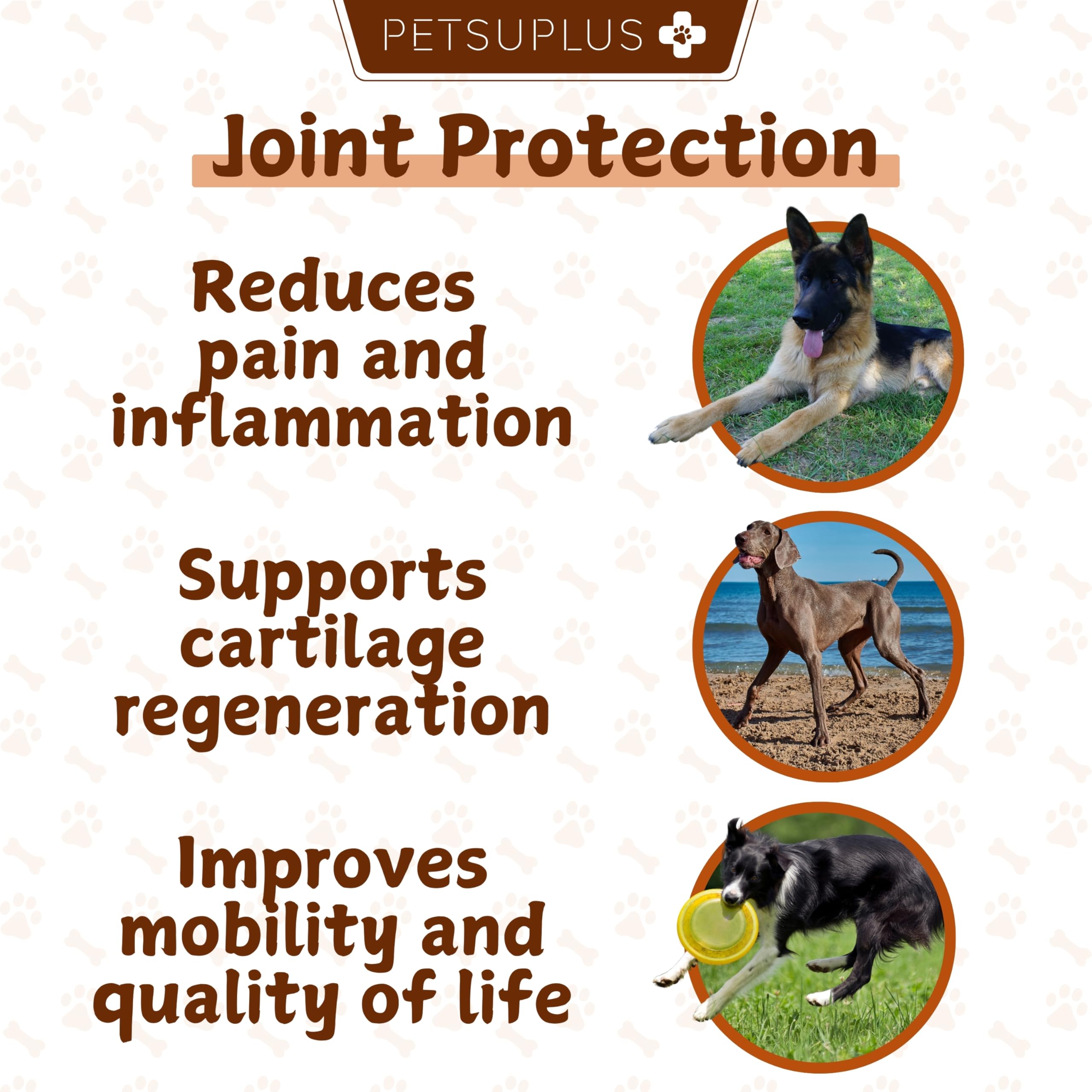 PETSUPLUS Hip & Joint Care. Collagen for Dogs. Dog Joint Supplements with Green Lipped Mussel, Glucosamine, Chondroitin - Image 3
