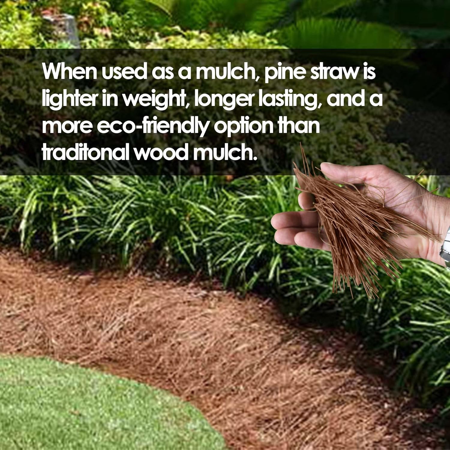 Garden Elements Long Leaf Pine Straw Bale for Mulch, Soil Amendment and Fall Decoration, 24.5" Bale