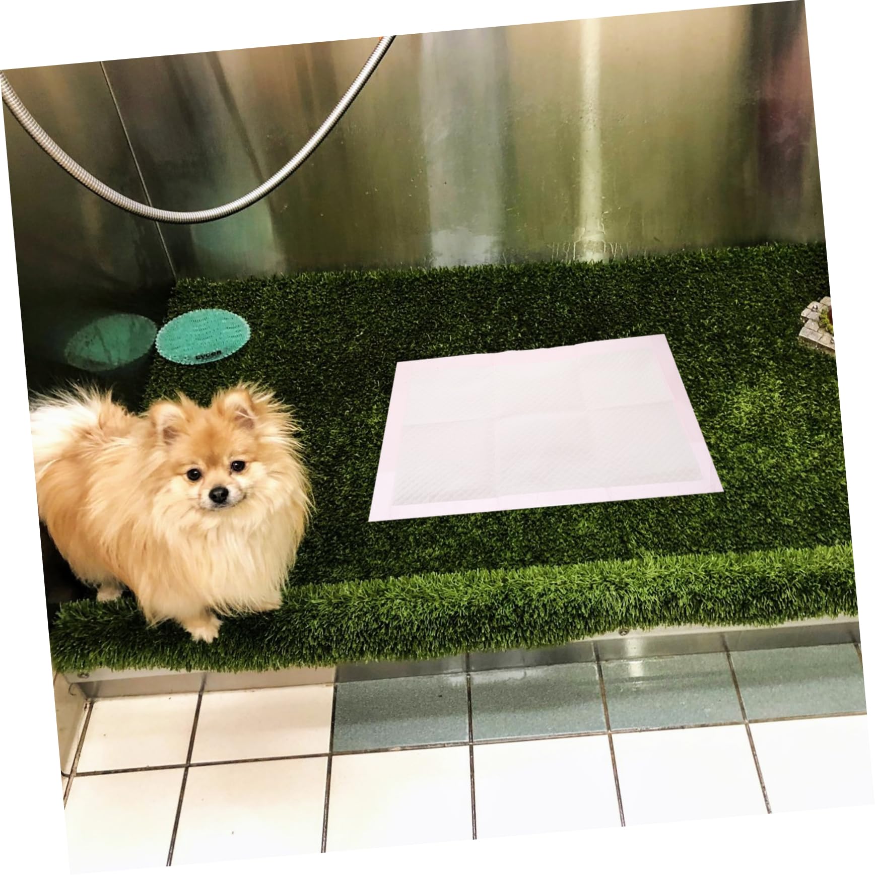 Tappetini Assorbenti Riutilizzabile Per L'igiene Degli Animali Domestici Confezione Da 100 Ultra Assorbenti Per L'addestramento Di Cani E Gatti