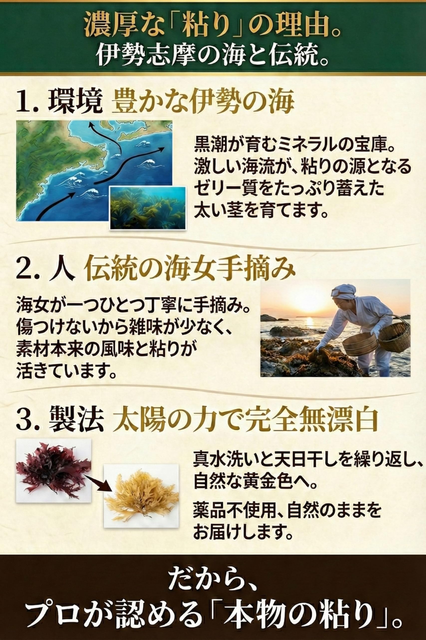 Amazon.co.jp: [七座の雫] 天然 てんぐさ 三重県産 100g (約25人前