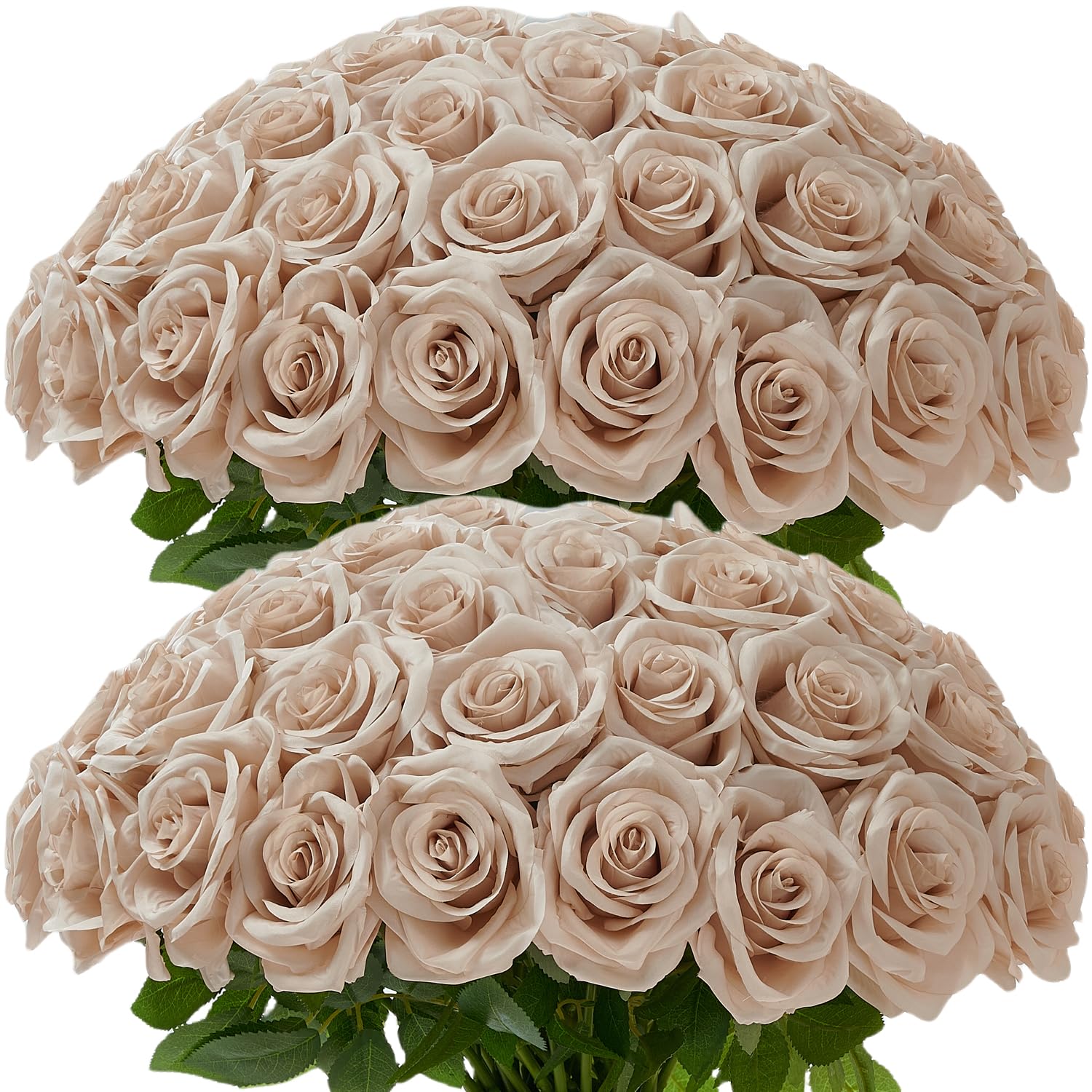 Photo 1 of Carlita’s Blooms 50Pcs Nude Silk Roses