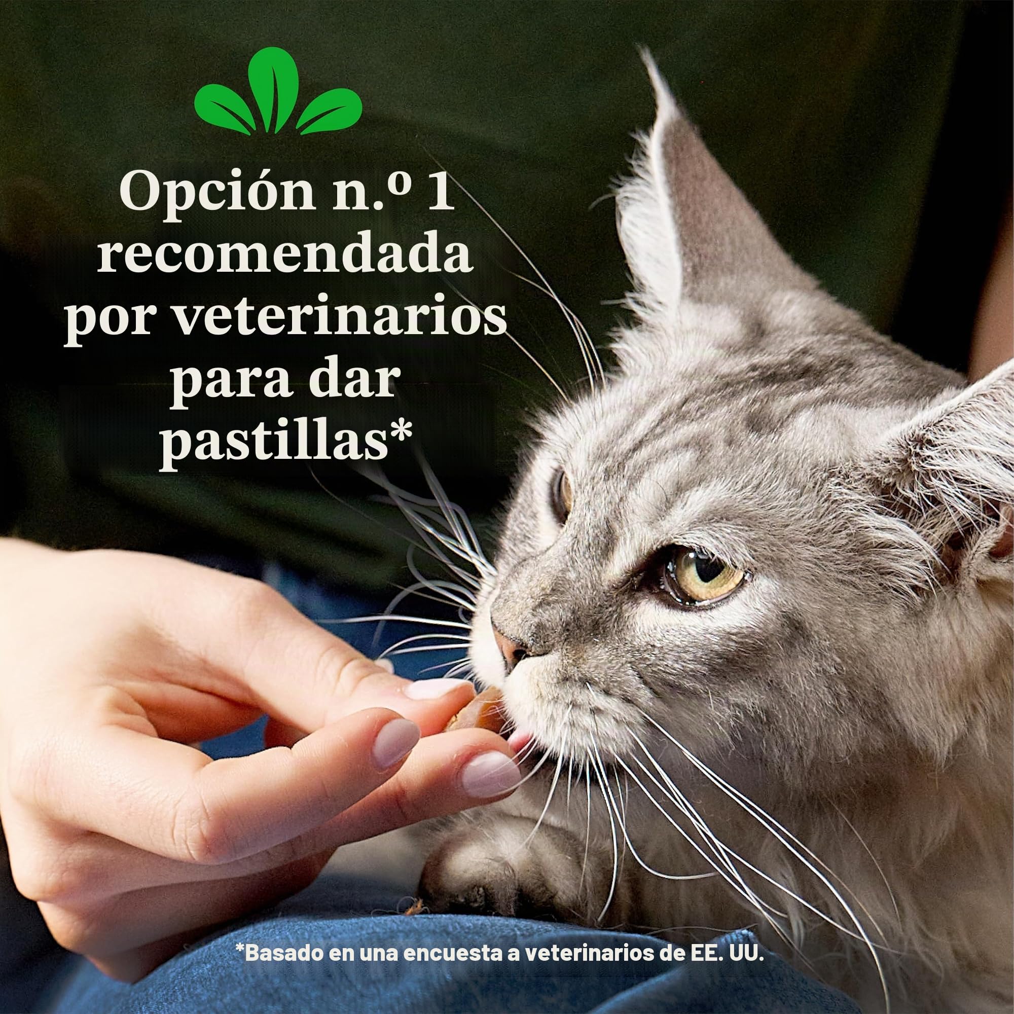 Greenies Cat Chicken Flavor, 1.6 Oz. Pack Treats Feline Pill Pockets Gatos, Sabor a Pollo, Paquete de 1.6 onzas golosinas, 45 g (Pack of 1)