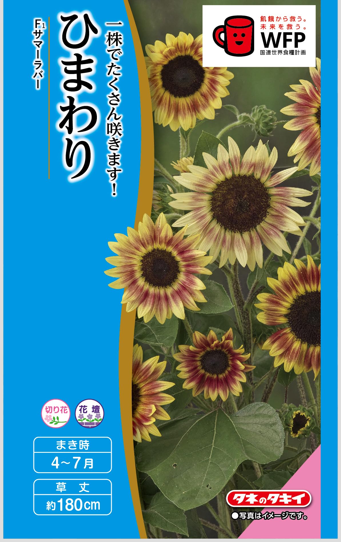 Amazon | タキイ種苗 花種 ひまわり サマーラバー | 野菜