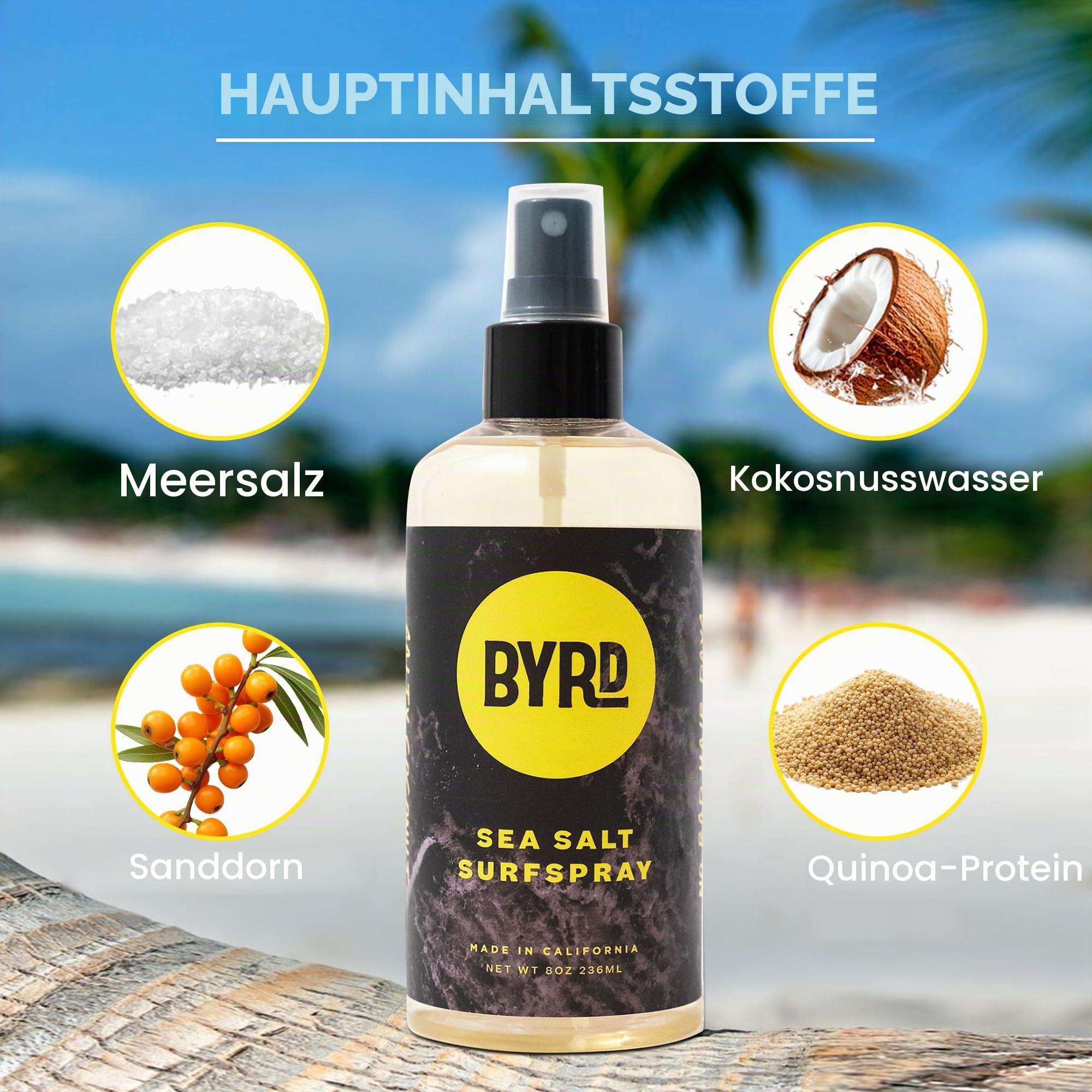 Byrd Hairdo Products Texturizing Surf Spray 6 OZ by BYRD HAIRDO PRODUCTS