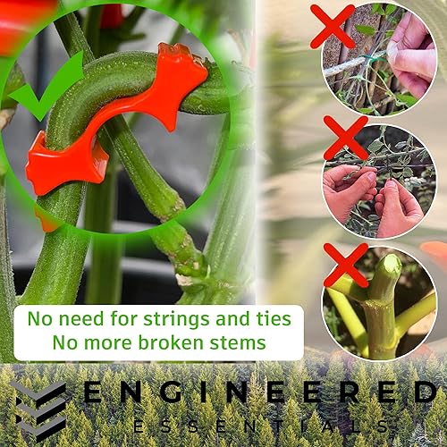 Miniatura 6 de Estados Unidos fabricó el entrenador original de plantas de 90 grados, para entrenamiento de bajo estrés (LST) y entrenamiento de plantas