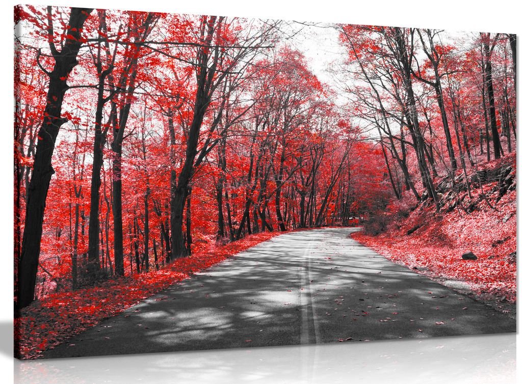 Panther Print White Black & Road Trees Red Leaves Canvas Wall Art Picture Print (24X16in)