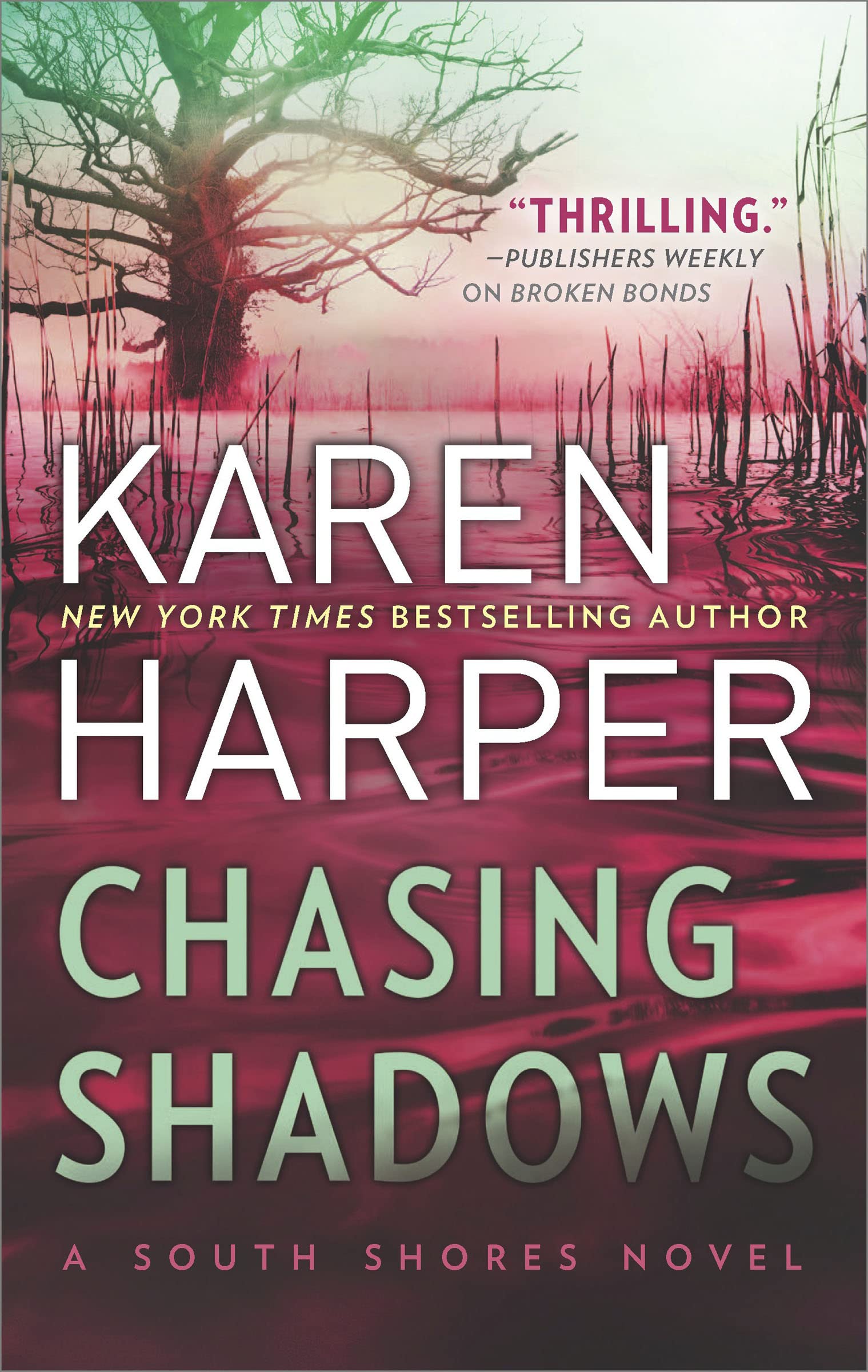 Chasing Shadows (The South Shores Novels Book 1)