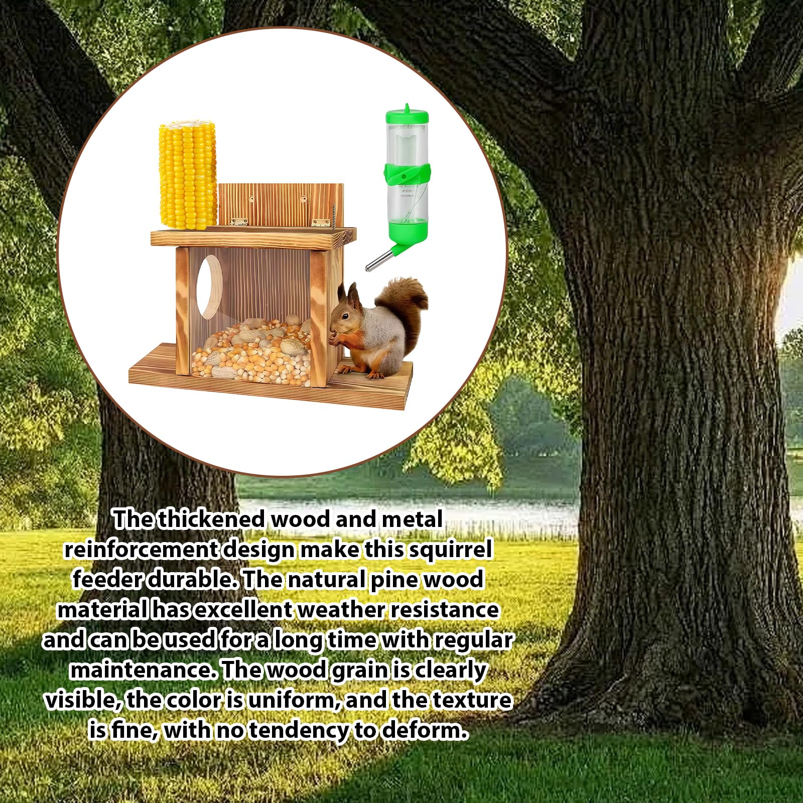 Mangeoire en bois pour écureuils - Station d'alimentation pour écureuils - Résistant aux intempéries - Avec 2 entrées et plateformes de siège - Maison pour écureuils