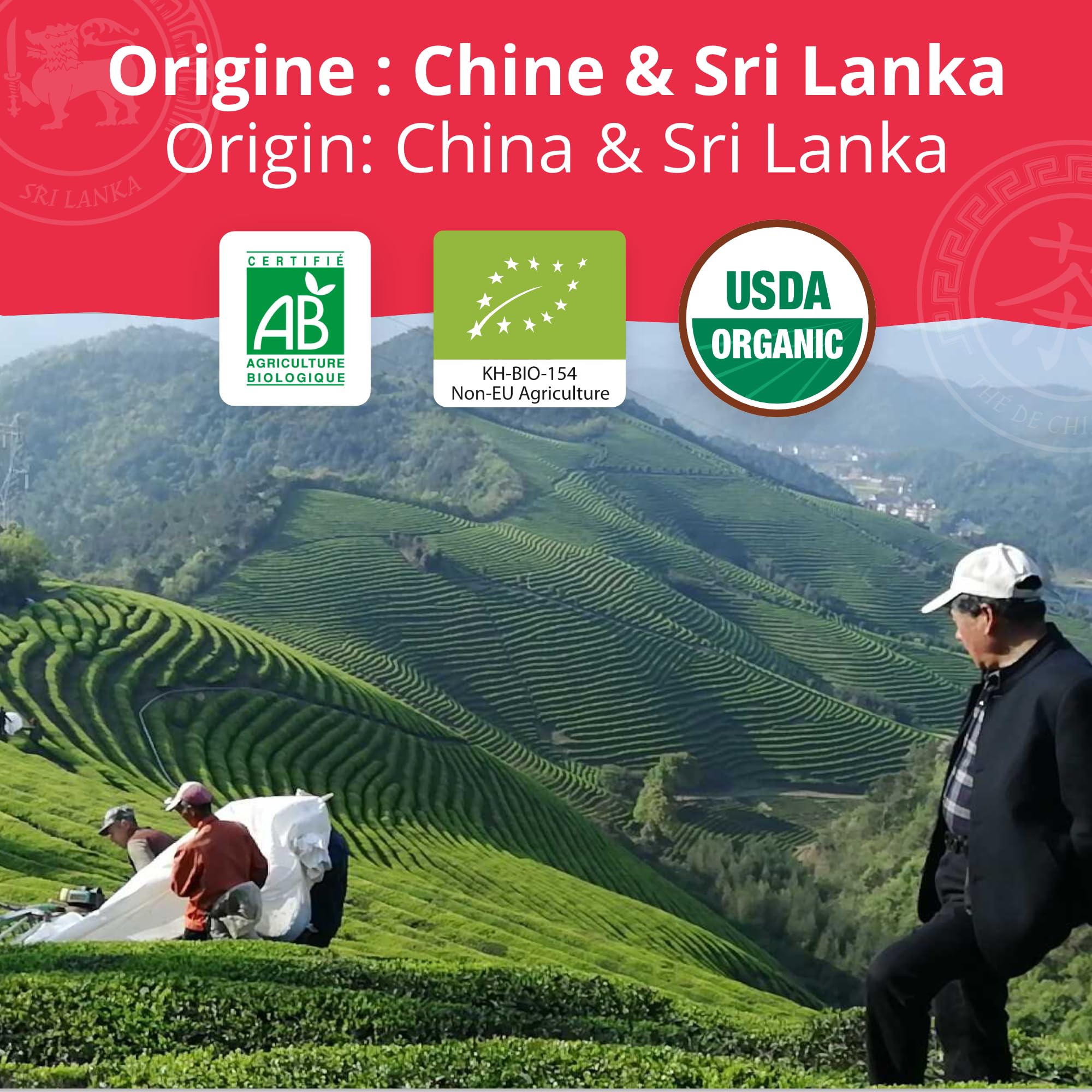 Khla - Coffret de 5 Thés Bio en Vrac - 5 Boites Métal - Coffret Cadeau à Offrir - Oolong, Pai Mu Tan, Breakfast OP, Sencha & Chun Mee - Thé Bleu, Vert Noir & Blanc - Tisane, Infusion