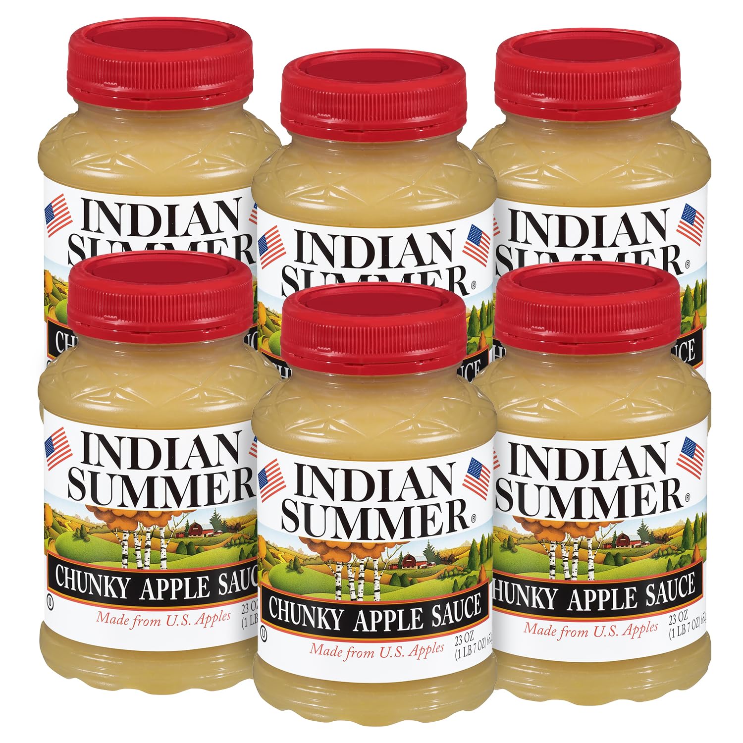 Indian Summer Premium Chunky Applesauce Made from US Apples and American Growers (Chunky Original, 23 Ounces Each, Pack of 6)