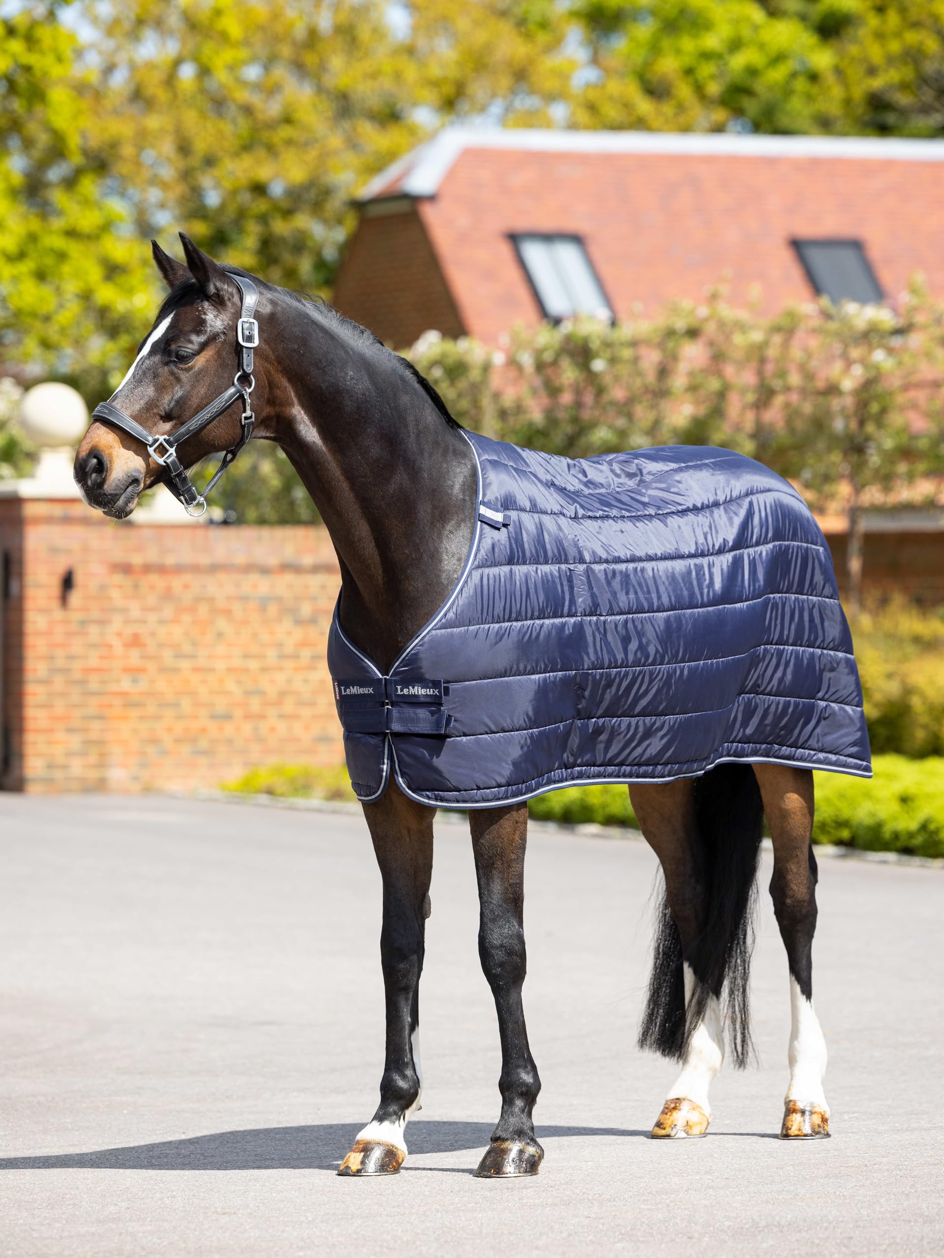 LeMieux Rug Liner - 50g - Compatible with LeMieux Arika & Kudos Turnout & Stable Rugs - Navy Blue - 6ft (72in)