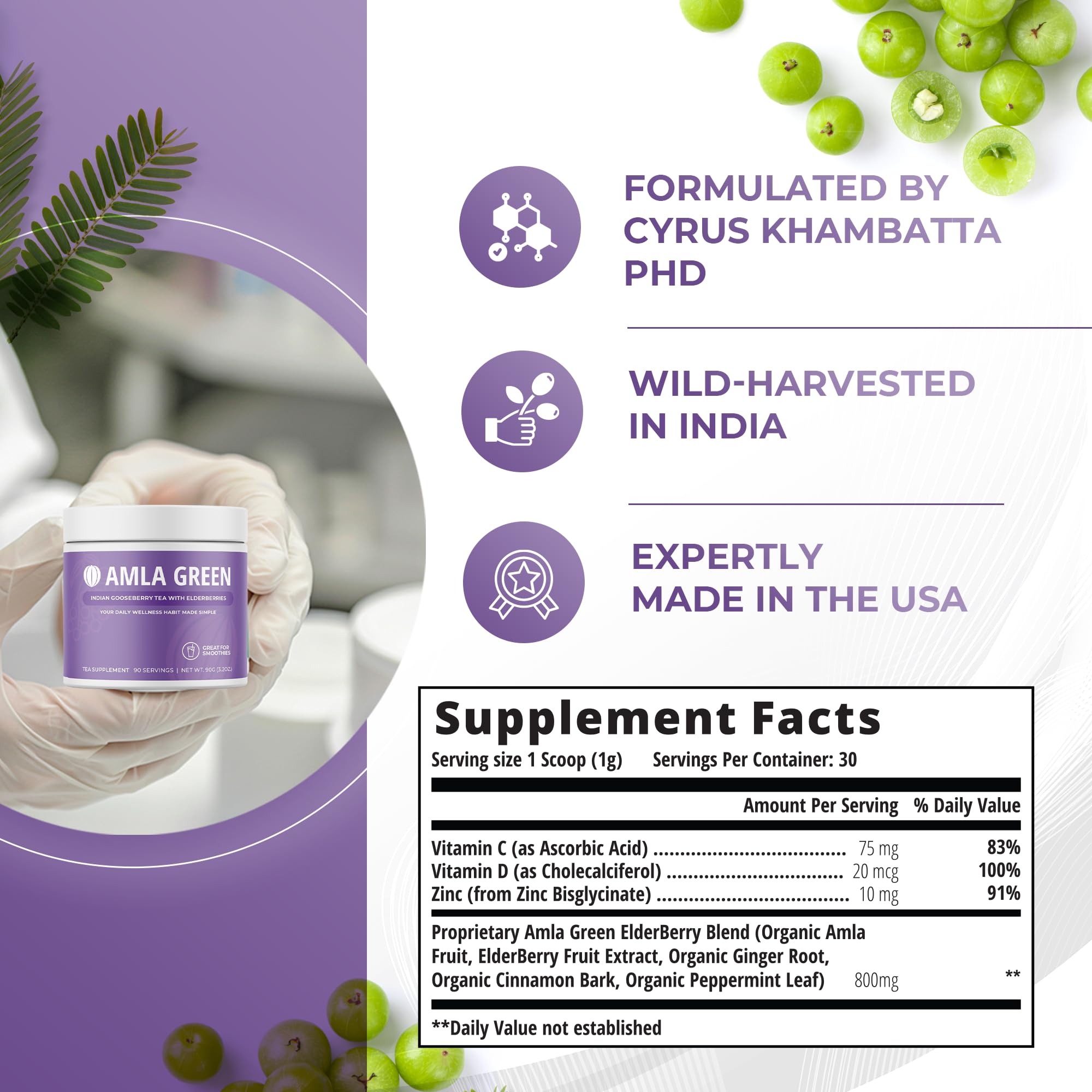 Amla Powder & Immunity Blend Superfood Supplement with Elderberry, 20x Ultra Concentrated Amla, Immune Support, Made with Ginger, Cinnamon, Peppermint, Indian Gooseberries, Immunity, 30 Servings — Amazon image 2
