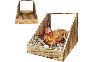 Chicken Nesting Boxes for Laying Eggs Ensures Hens' Comfort During Laying Process